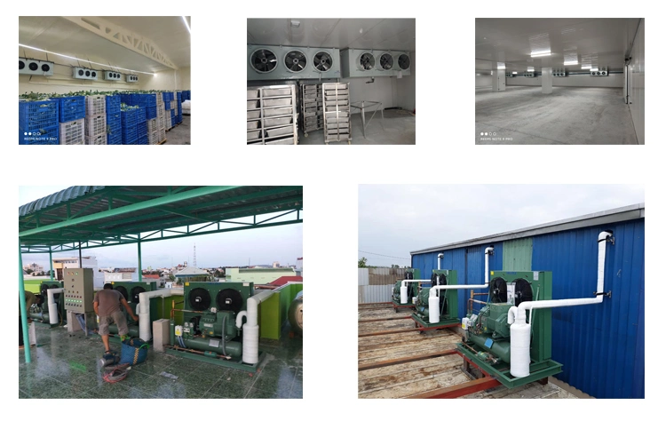 Cold Room Refrigeration Unit Cold Storage Room for Fruits