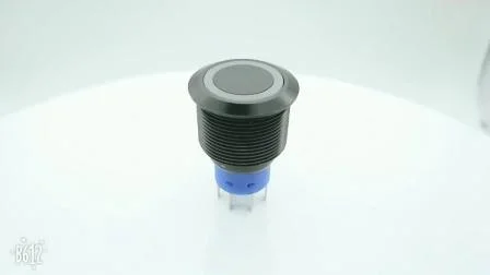 Wasserdichter elektronischer LED-beleuchteter Kipp-/Netzschalter, Tastentakt-Wippe, automatischer Mikro-Drucktastenschalter